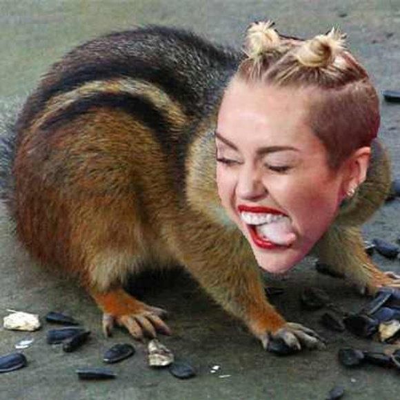 Meet your Posher, Greg - Picture 1 of 1